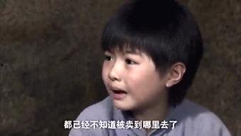 鹤轩身世爆料视频大全集,视频大全集深度解析